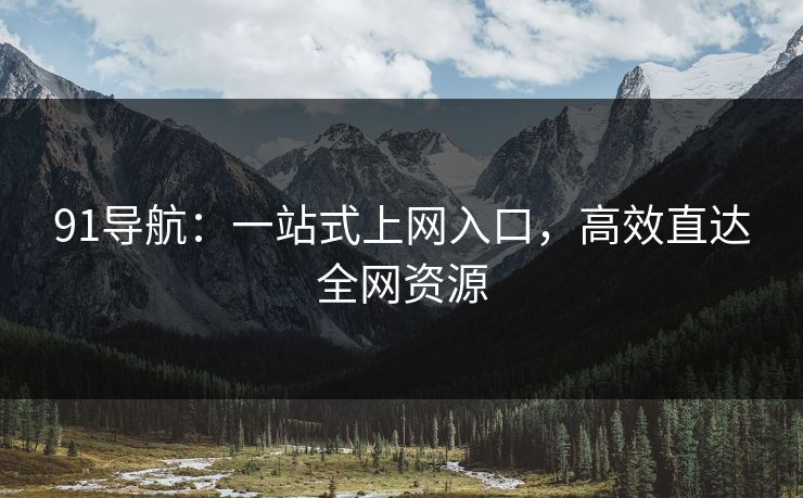 91导航：一站式上网入口，高效直达全网资源